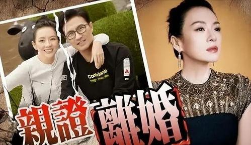 刘大锤最新爆料盘点视频,盘点最新爆料视频精彩瞬间 第1张 刘大锤最新爆料盘点视频,盘点最新爆料视频精彩瞬间 第1张